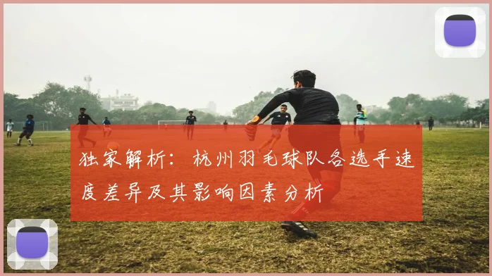 独家解析：杭州羽毛球队各选手速度差异及其影响因素分析