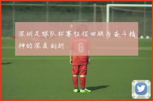 深圳足球队杯赛征程回顾与奋斗精神的深度剖析