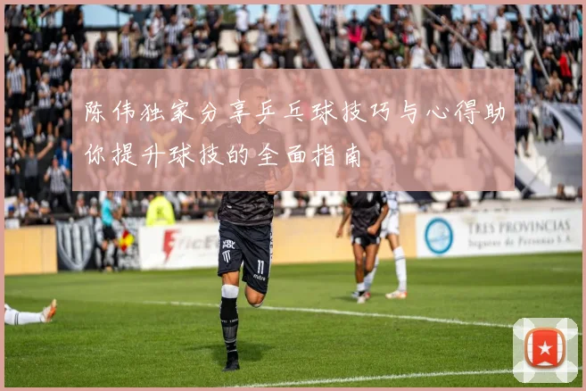 陈伟独家分享乒乓球技巧与心得助你提升球技的全面指南