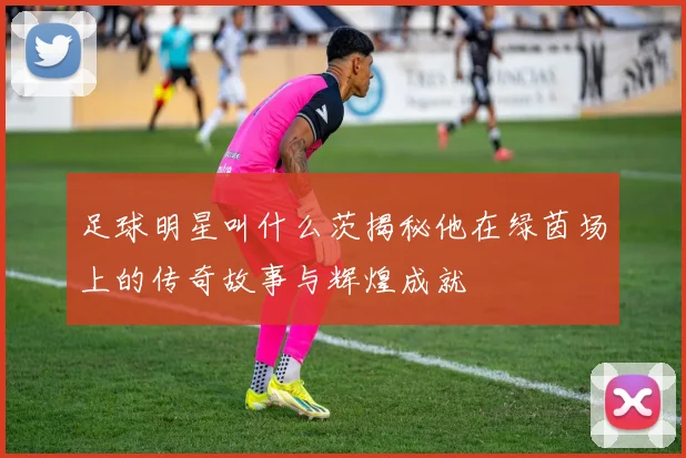 足球明星叫什么茨揭秘他在绿茵场上的传奇故事与辉煌成就