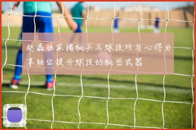 赵磊独家揭秘乒乓球技巧与心得分享助你提升球技的秘密武器