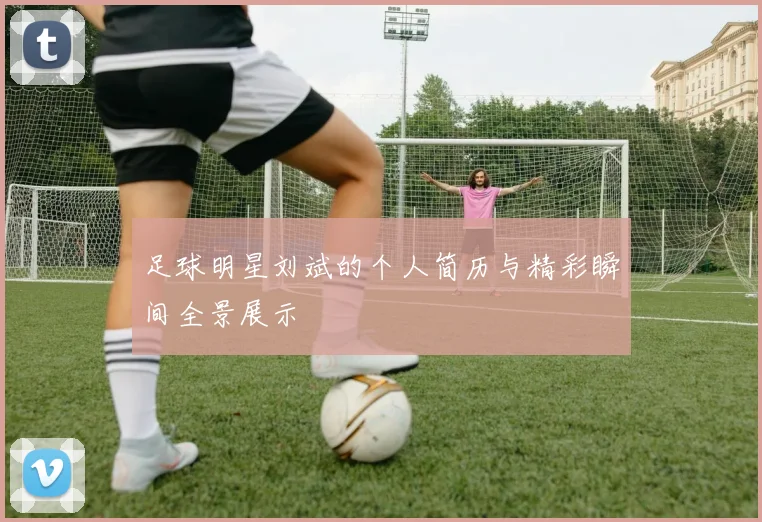 足球明星刘斌的个人简历与精彩瞬间全景展示