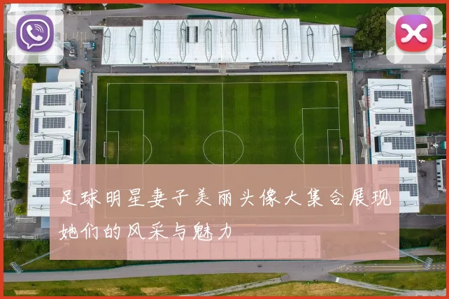 足球明星妻子美丽头像大集合展现她们的风采与魅力