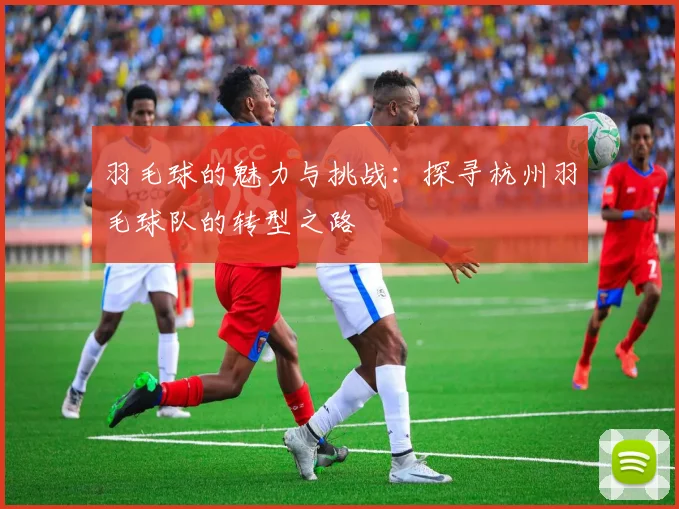 羽毛球的魅力与挑战：探寻杭州羽毛球队的转型之路