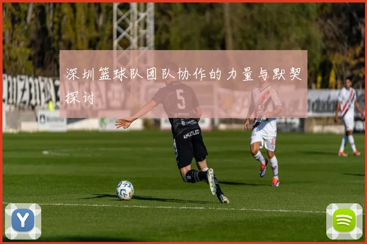 深圳篮球队团队协作的力量与默契探讨
