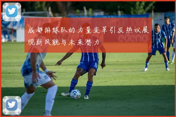 成都排球队的力量变革引发热议展现新风貌与未来潜力