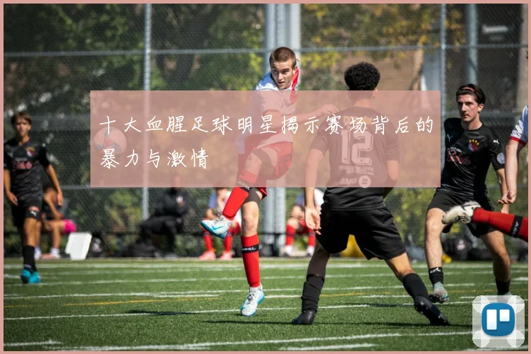 十大血腥足球明星揭示赛场背后的暴力与激情