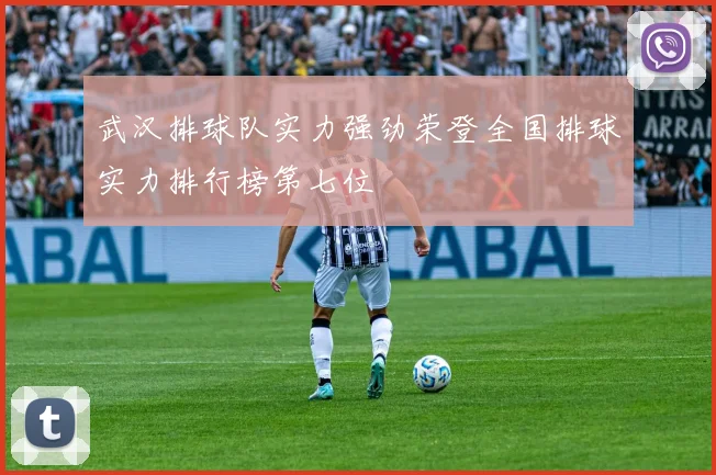 武汉排球队实力强劲荣登全国排球实力排行榜第七位