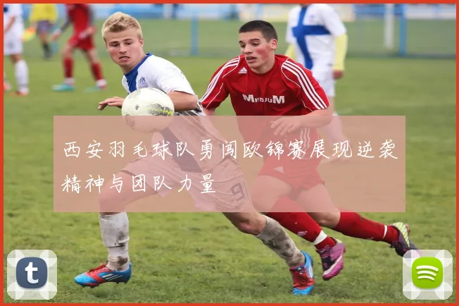 西安羽毛球队勇闯欧锦赛展现逆袭精神与团队力量